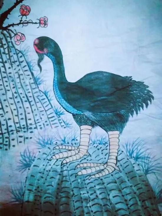 云图片