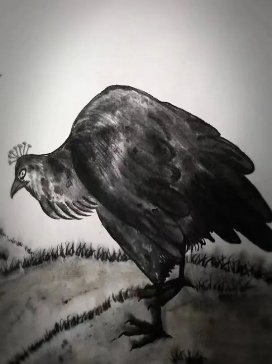 云图片