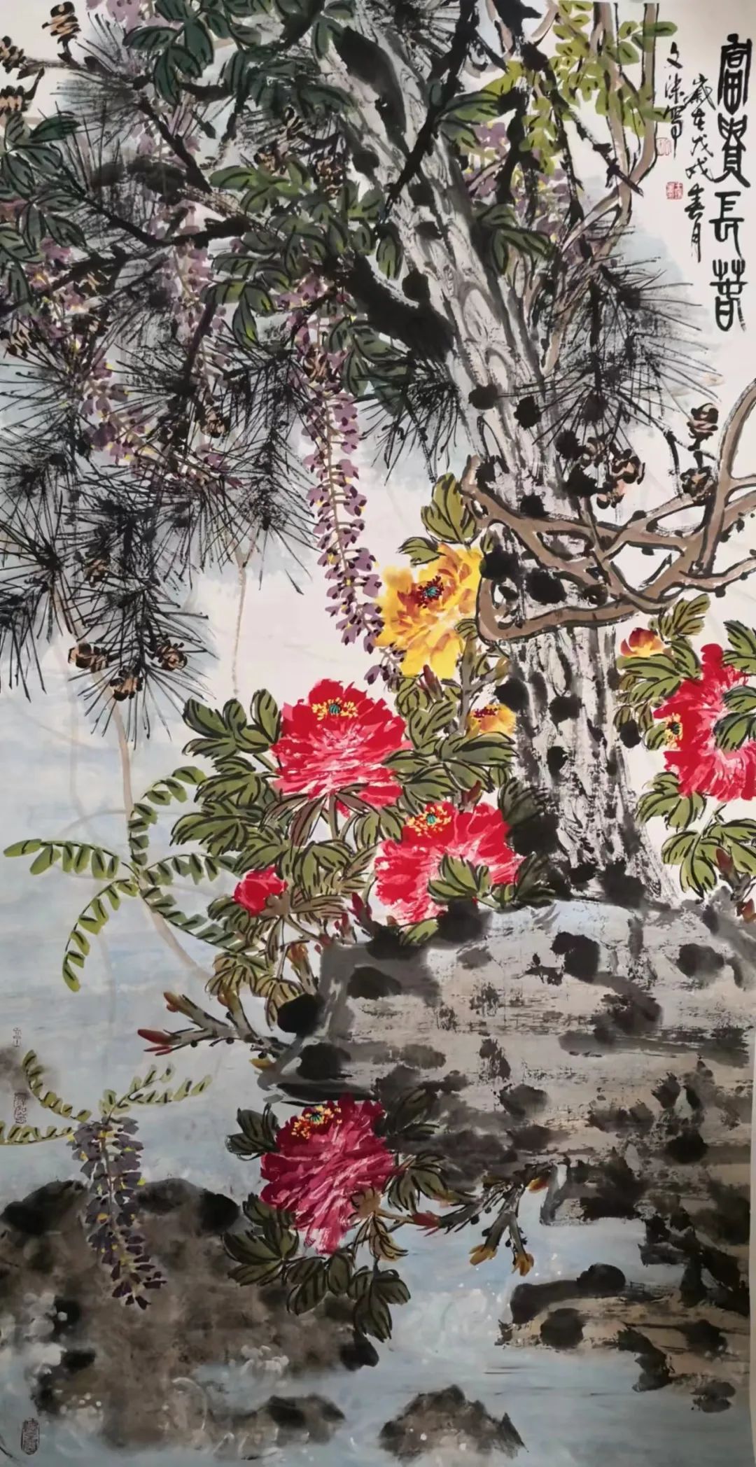 图片