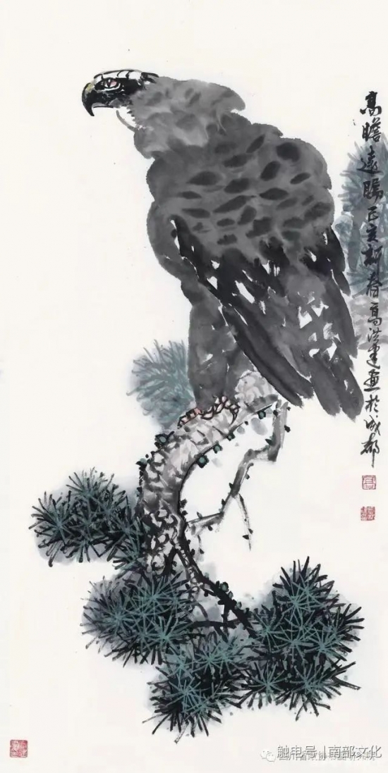 云图片