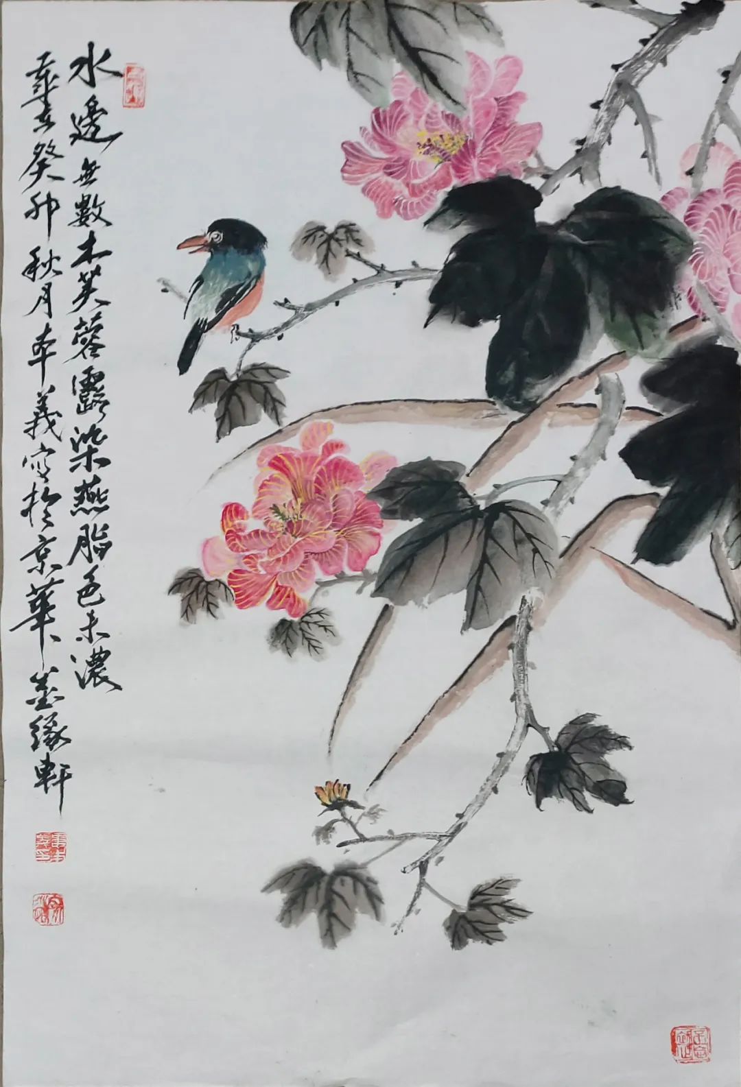 图片