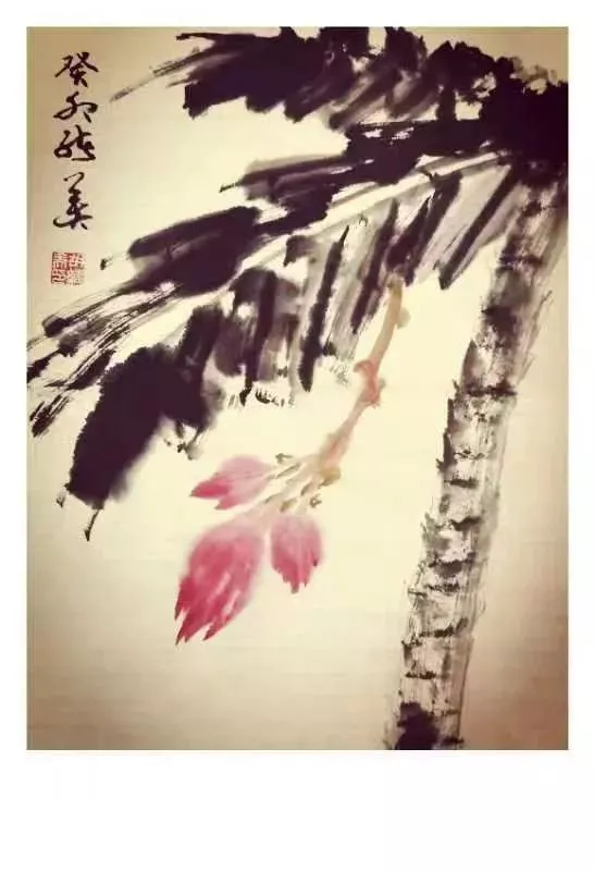 云图片