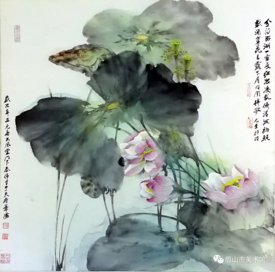 云图片