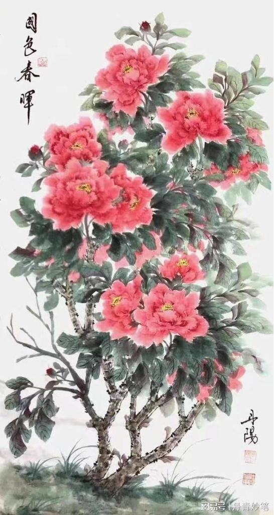 云图片