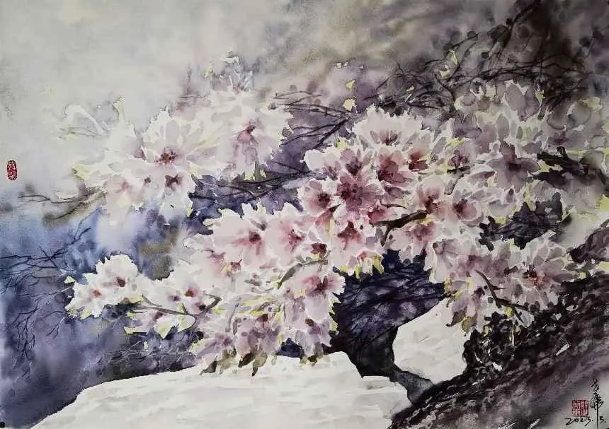 图片