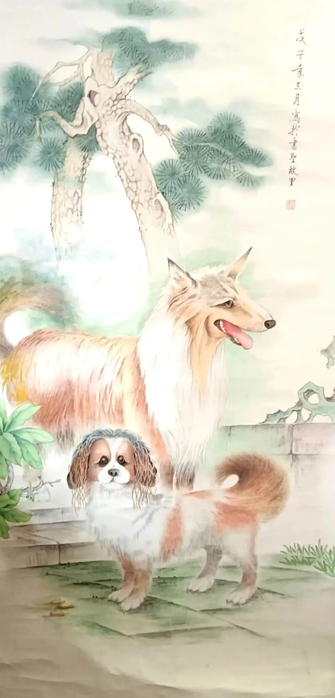 图片