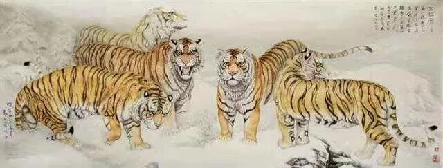 云图片