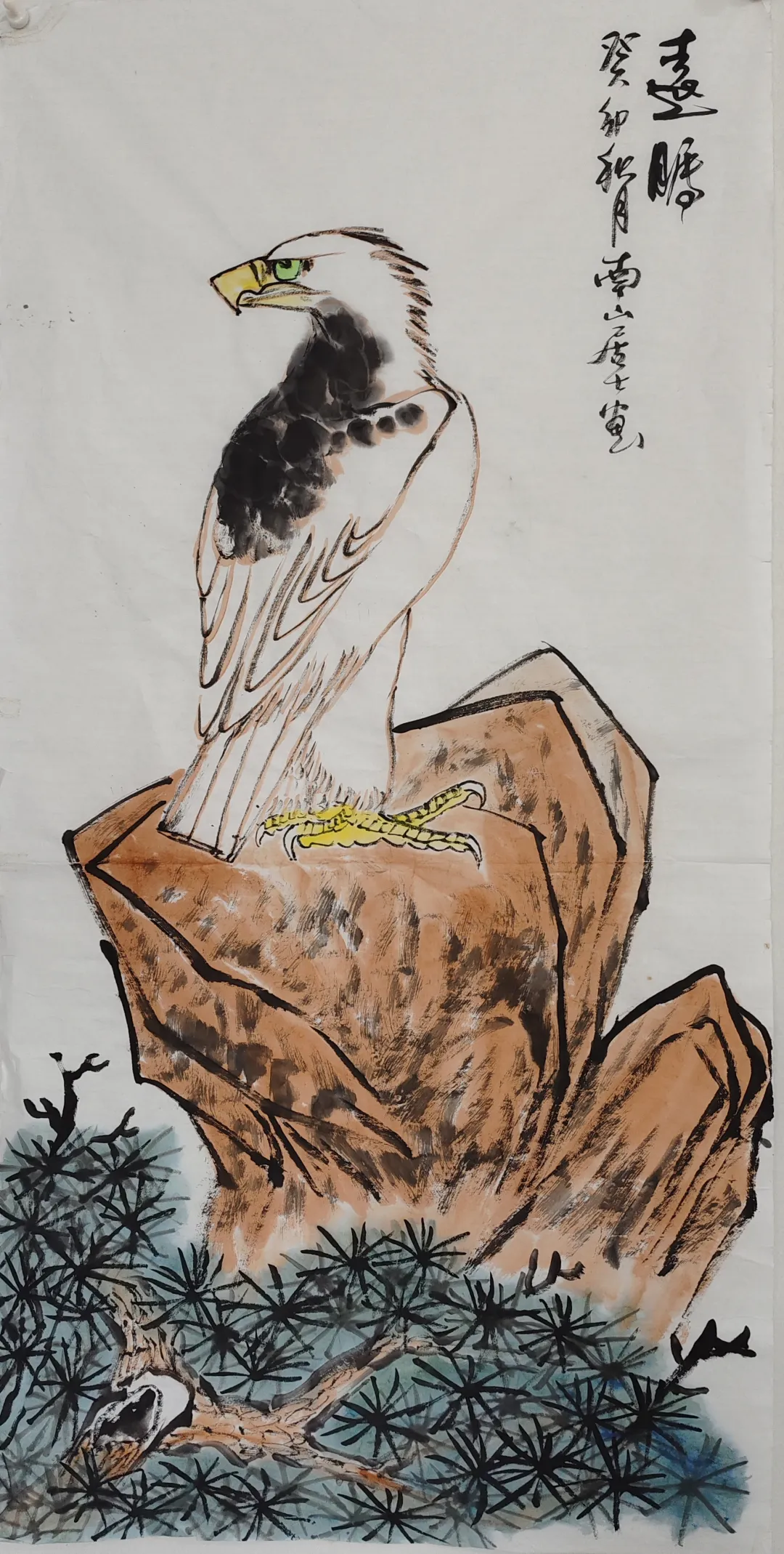 图片