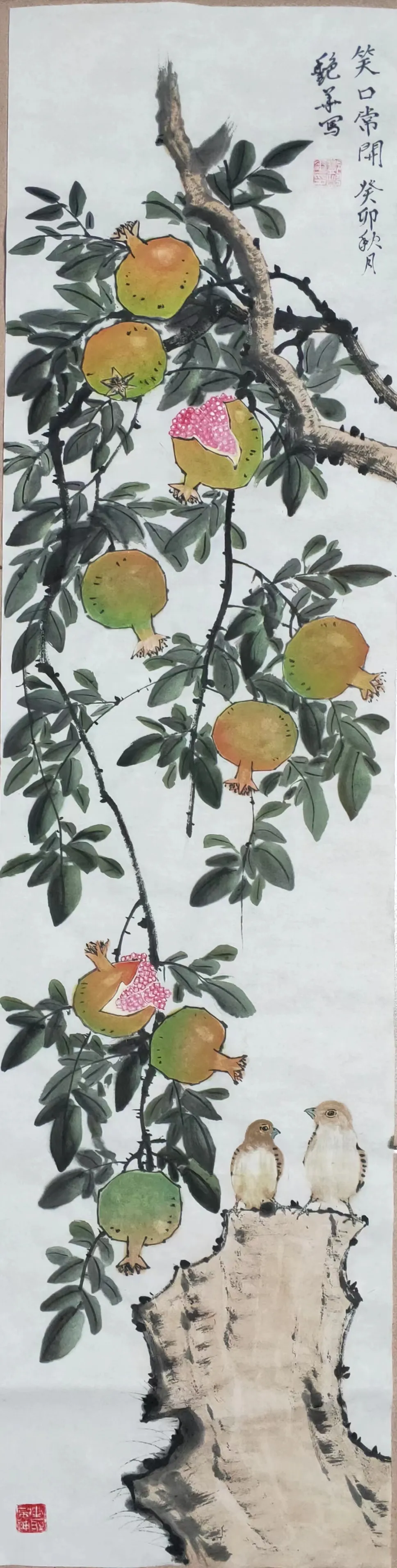 图片