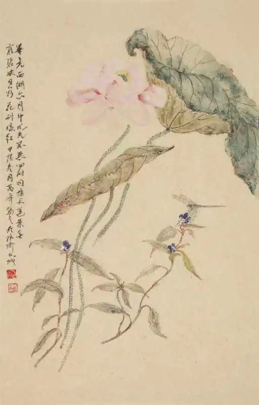 图片