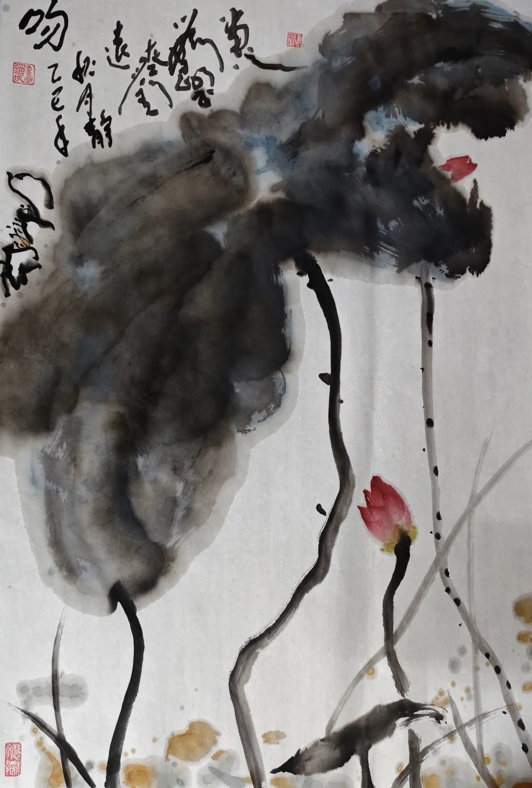 图片