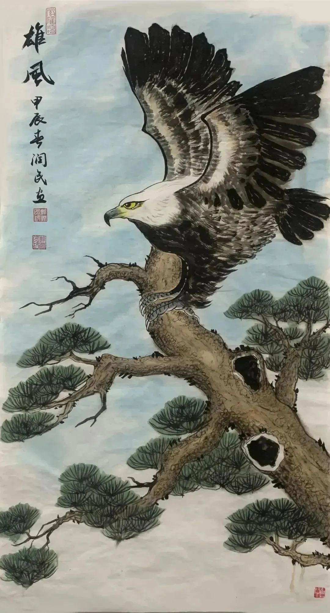 图片