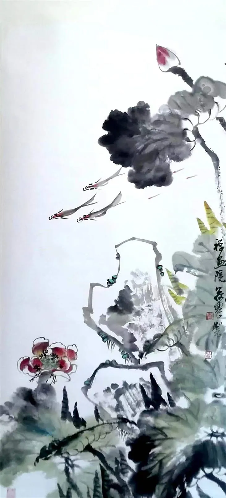图片