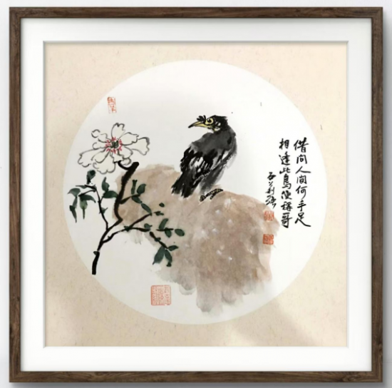 云图片