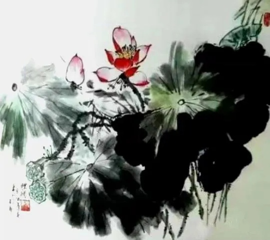 云图片